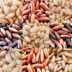 Types of rice