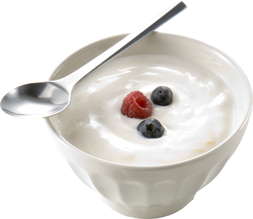 yoghurt.png