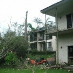 Trees & other debris that caused damage